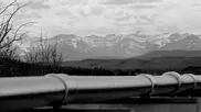 centrica video